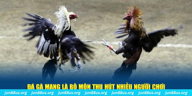 sunwin 19 sòng bạc link mới