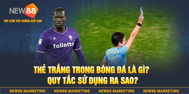 dagasv388 casino Sòng bạc